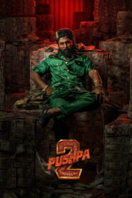Pushpa 2 – The Rule