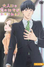 Otona nya Koi no Shikata ga Wakaranee!